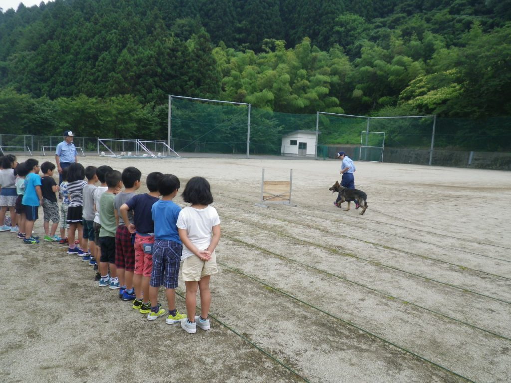 警察犬デモンストレーション②