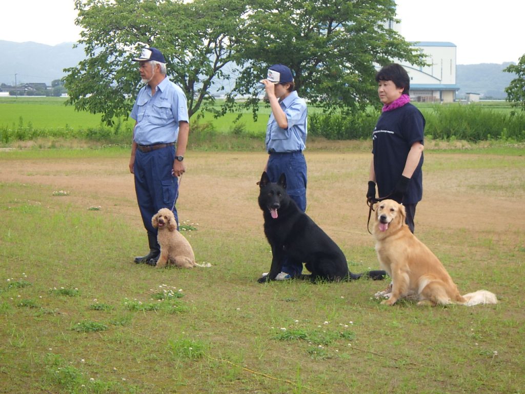 警察犬デモンストレーション③