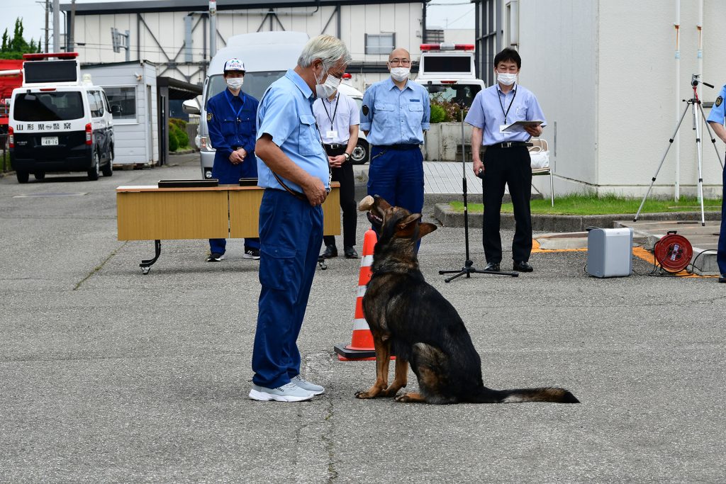 警察犬ベック①