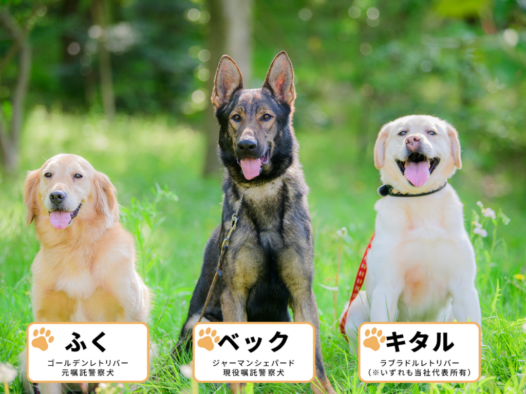 警察犬・盲導犬育成事業への支援メイン画像