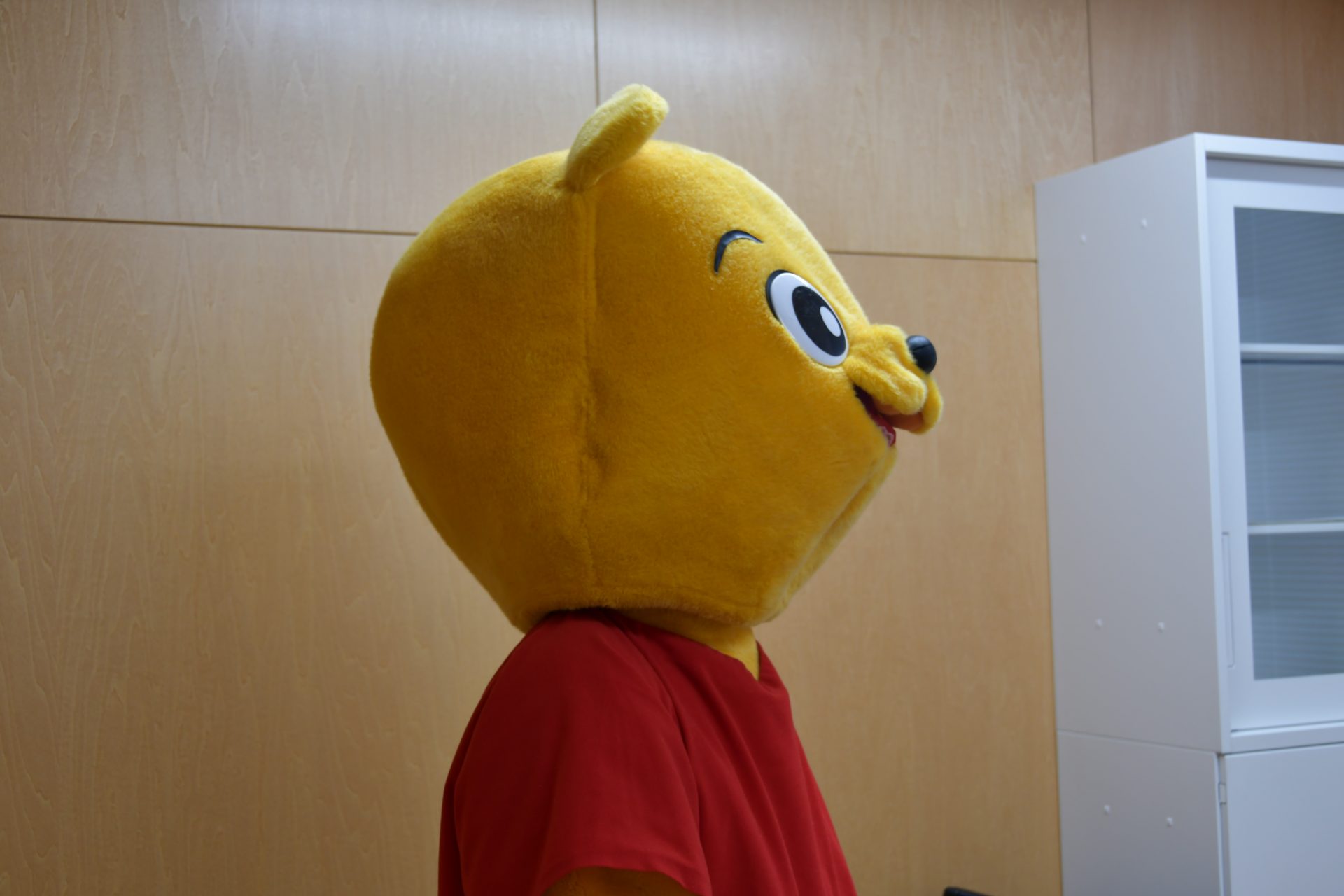 採用情報スライダー⑪